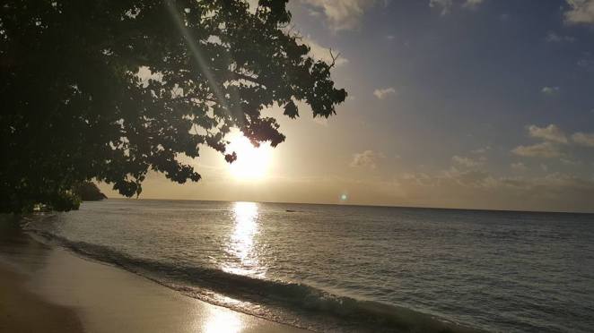 15941468_1300113450048004_522780435872853883_n